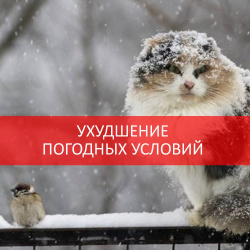 ПОХОЛОДАЕТ