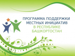 ЧТО ТАКОЕ ППМИ?